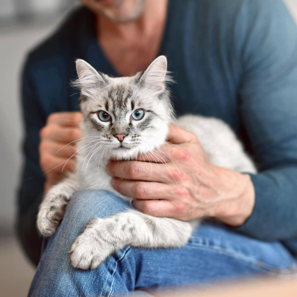 Fear Free Certified, Lethbridge Vet